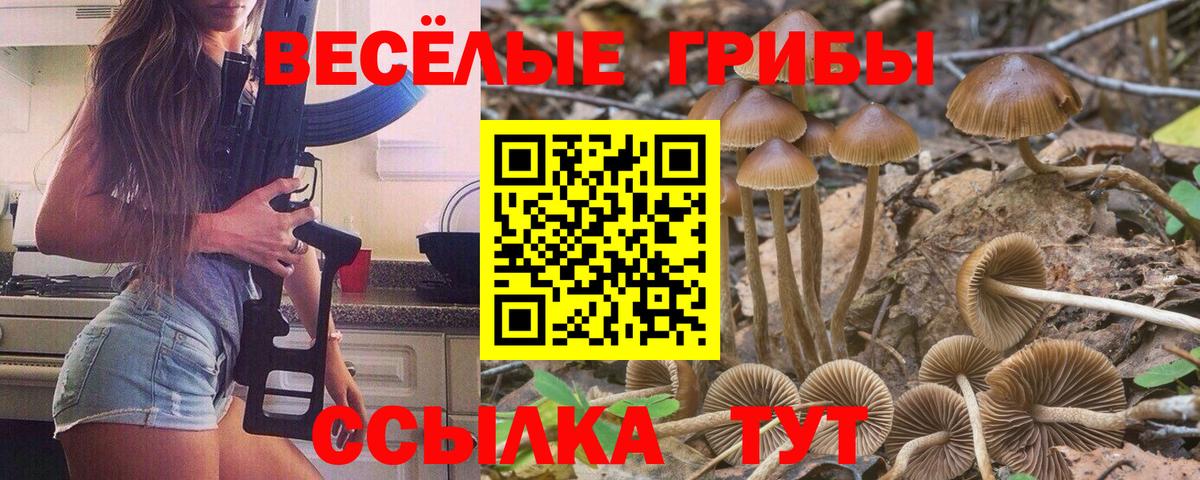 Псилоцибиновые грибы ЛСД  Вход с VPN  Сафоново 